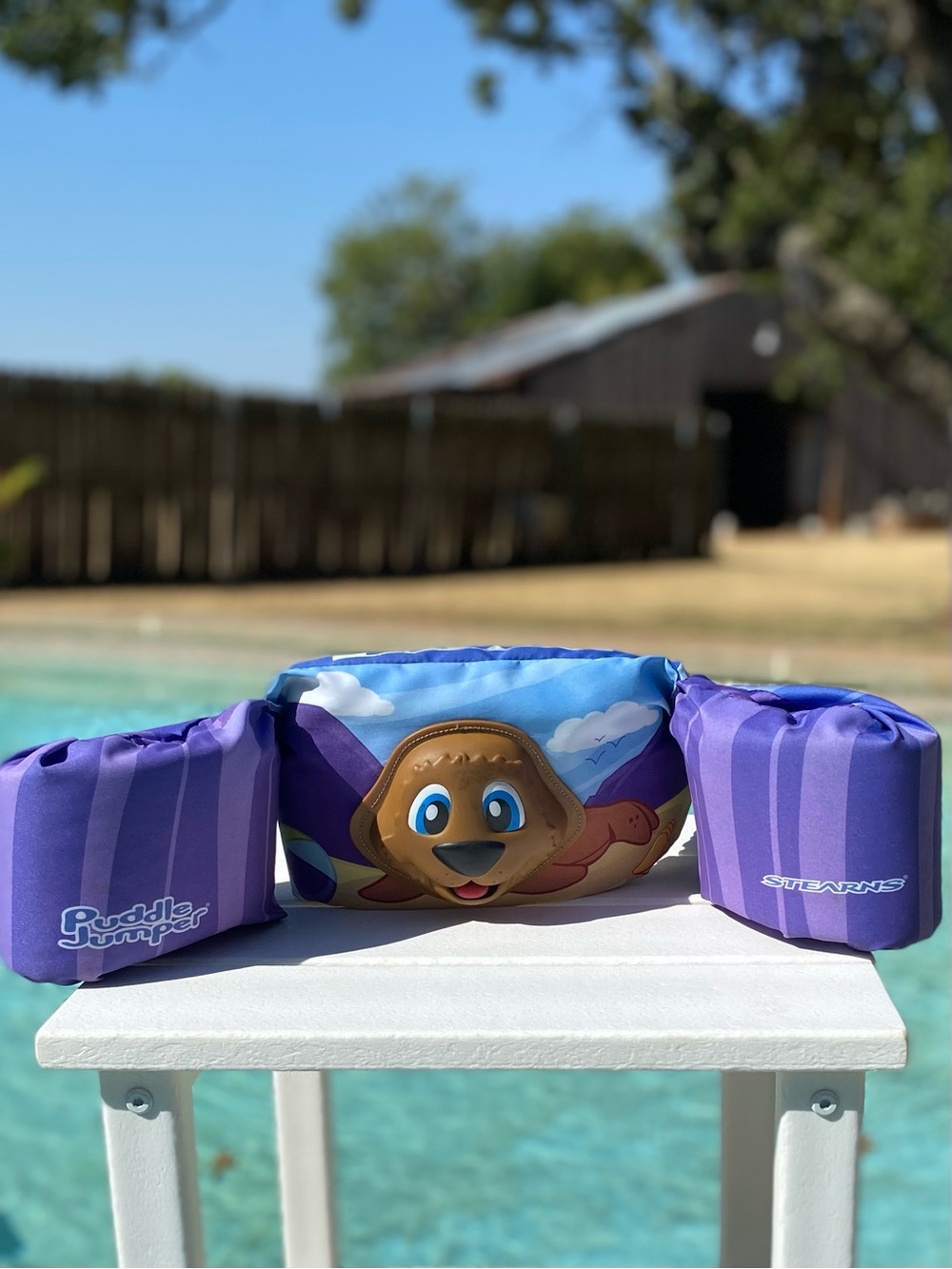 Stearns Puddle Jumper 3-D Seal Flotation Swim Aid